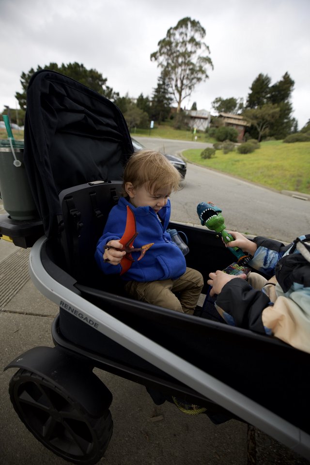 Young Child in Cargo Bike with Dinosaur Toy
