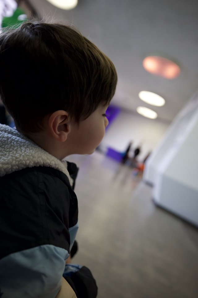 Child Engaged in Learning Activity Indoors