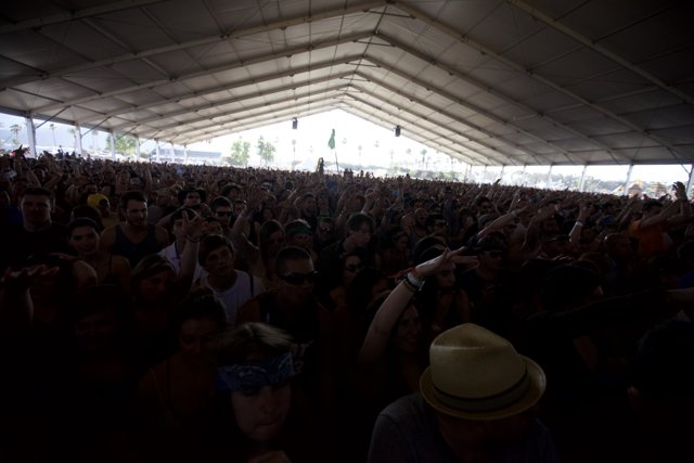 Jam Packed: A Thriving Music Festival Crowd