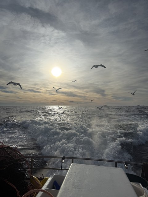 Sailing with the Sun