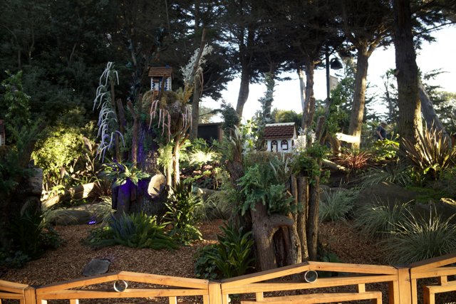 Serenity in Wood: November Afternoon at SF Zoo