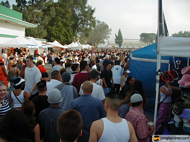 Audiotistic 2002: A Sea of Hats and Crowds