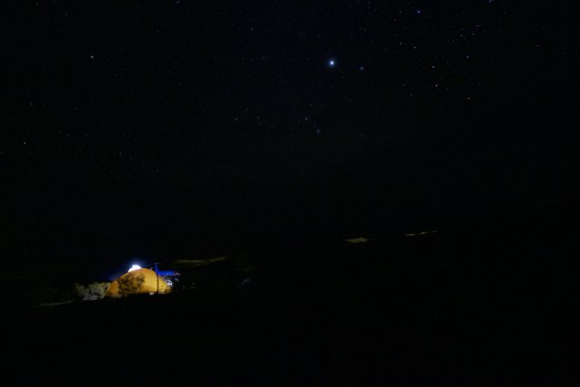 Solitude under Starry Night