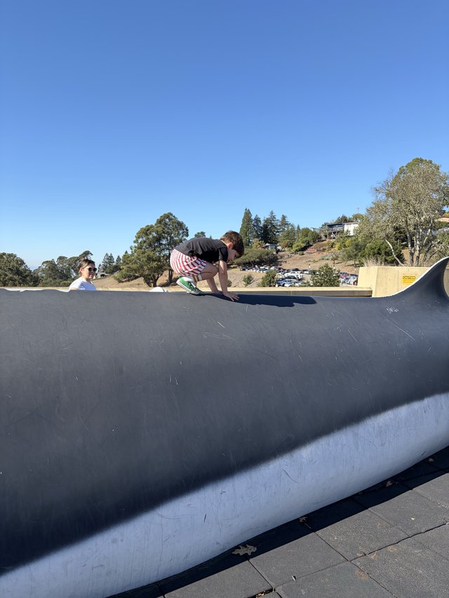 Skateboarder Performs Hand Plant at Concrete Skatepark