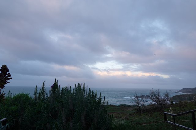 Serene Ocean and Clouds from a Hillside