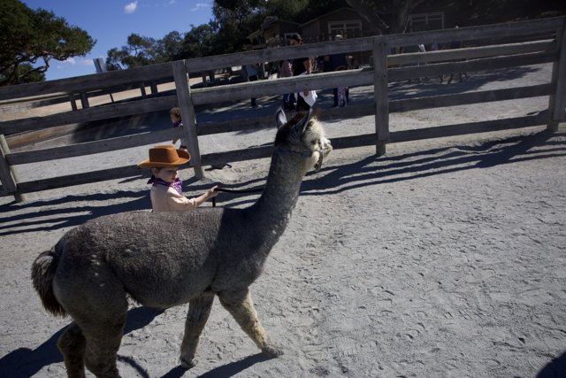 Little Ranchers’ Day Out