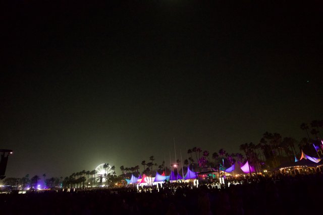 Enchanted Night at Coachella 2024