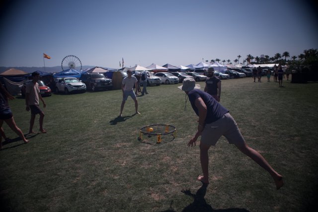 Frisbee Fun in the Field