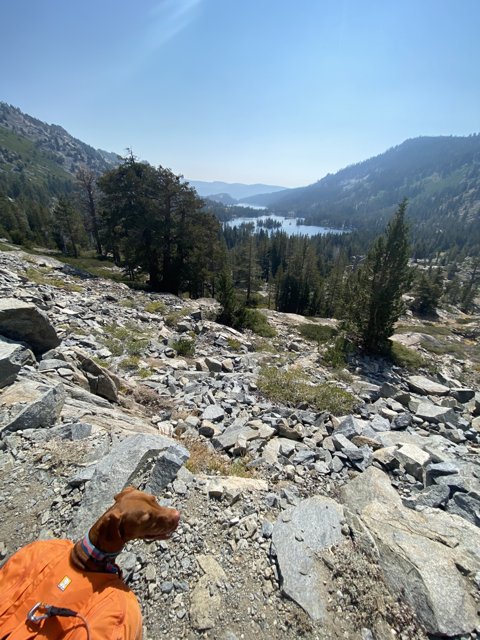 Orange-Shirted Hiking Companion