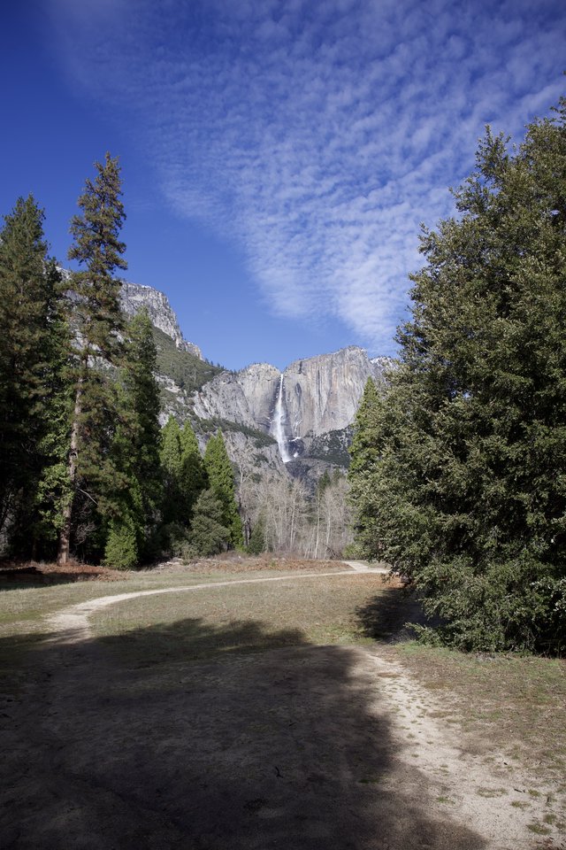 Yosemite Falls Framed by Meadow and Forest