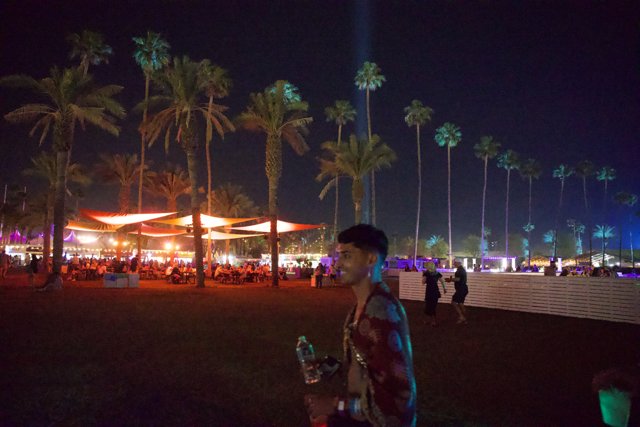 Night Vibes at Coachella 2024: Palms and Illuminated Tents