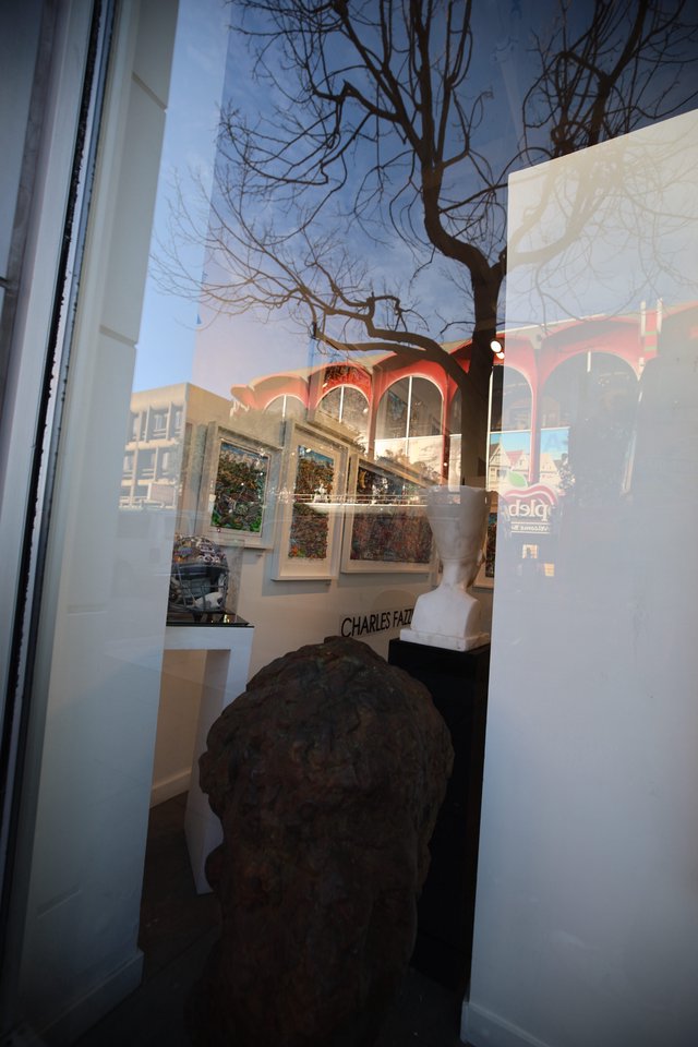 Gallery Window Reflection with Bare Winter Trees