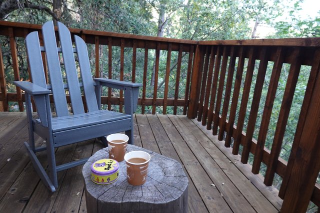 Morning Serenity on the Wooden Deck