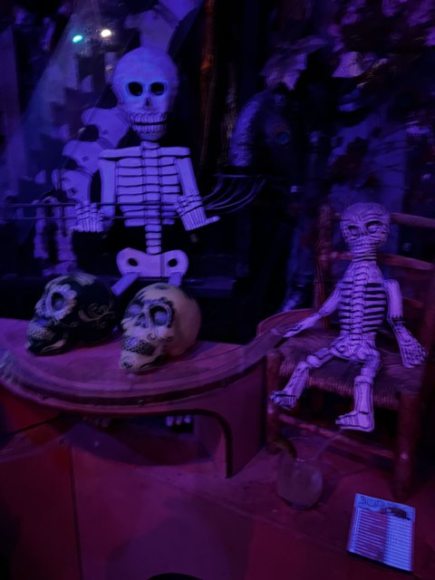 Day of the Dead Skeletons on Display