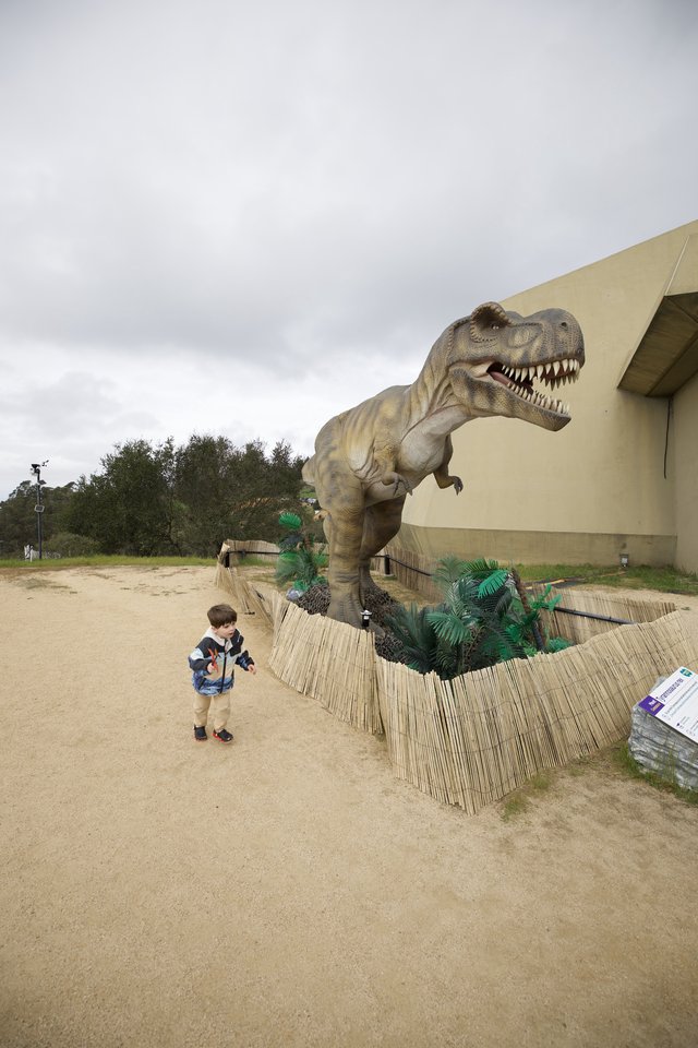 Child Encounters Life-Size T-Rex Display at Outdoor Exhibit