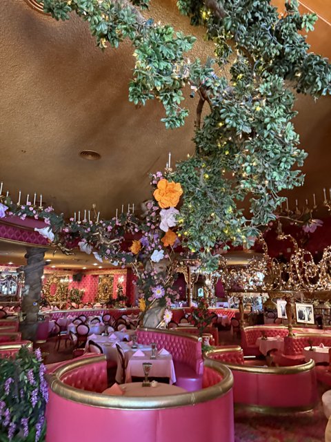Enchanted Elegance
