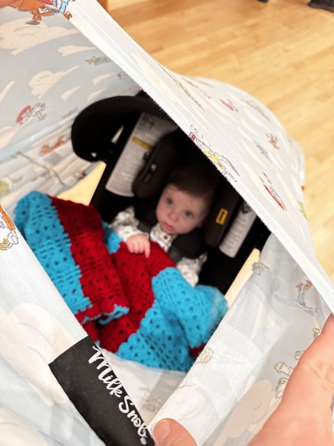 Baby with Cozy Blanket in Car Seat