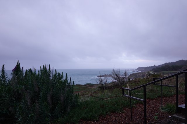 Serene Ocean View from Hilltop Handrail