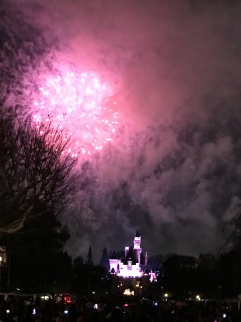 A Magical Night at Disneyland