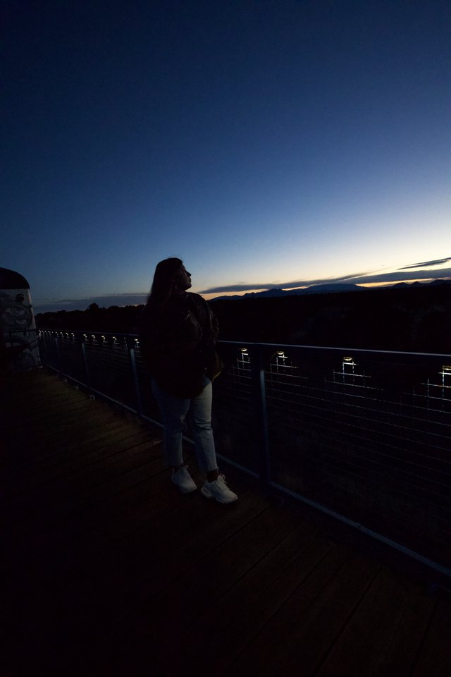 Silhouette at Sunset: Contemplative Moment on Observatory Deck