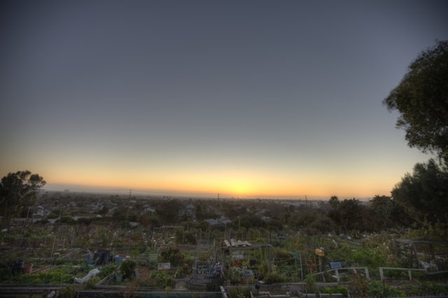 Rooftop Retreat: Capturing the Last Rays of a Community Garden Sunset