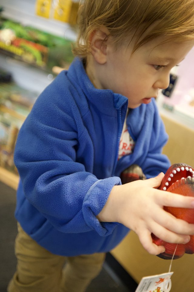 Young Child Exploring Dental Model in Educational Setting