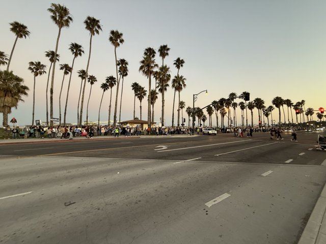 Twilight Gathering in Santa Barbara