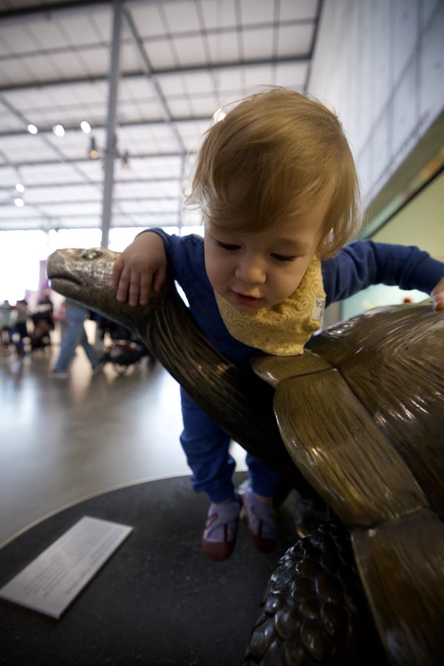 Young Child Exploring Bronze Bird Sculpture in Museum