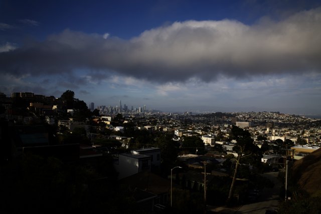San Francisco Cityscape: A Hillside Perspective