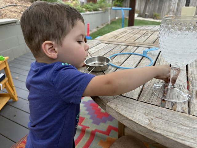 Curious Moments on the Deck