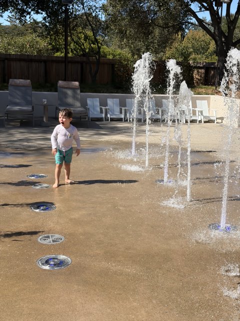 Joyful Dance in the Sunlit Fountains