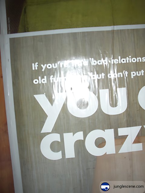 Relationship or Crazy?