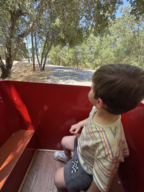 Exploring Summer Adventures