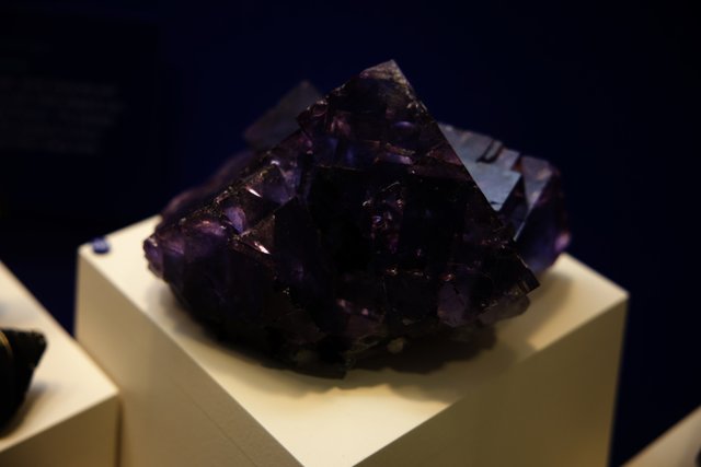 Captivating Amethyst at California Academy of Sciences