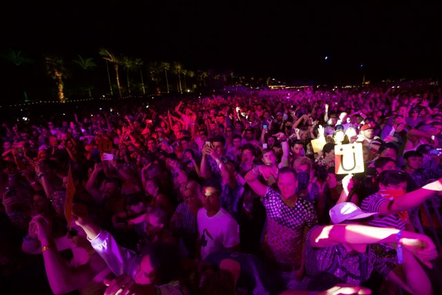 Coachella Nightlife: An Electric Crowd