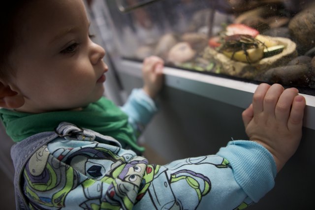 A Curious Encounter at the California Academy of Sciences