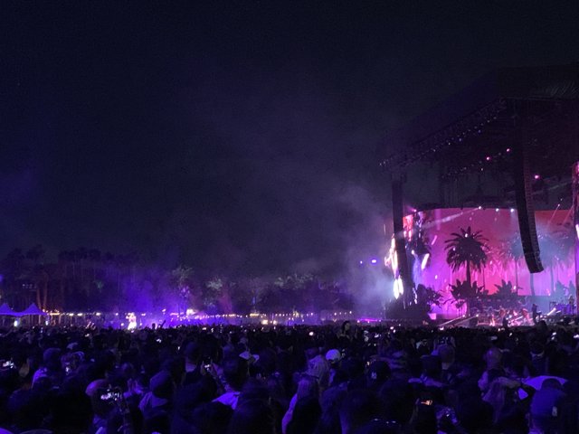 Purple Haze Concert Craze