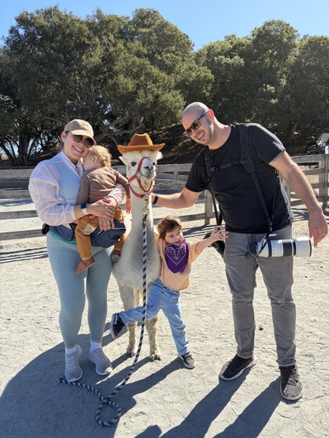 Alpaca Adventure in Carmel Valley