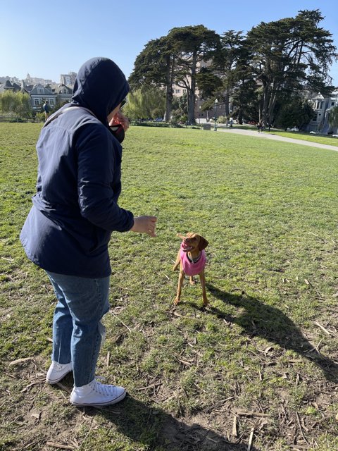 A Woman and Her Canine Companion in Alamo Square