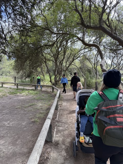 Strolling Through Nature's Embrace