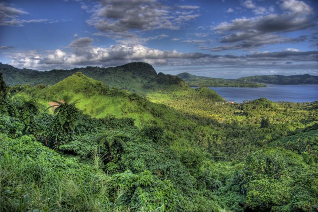 Blissful Serenity in Fiji's Rainforest