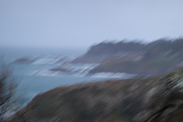 Blurry Coastal Wonderland