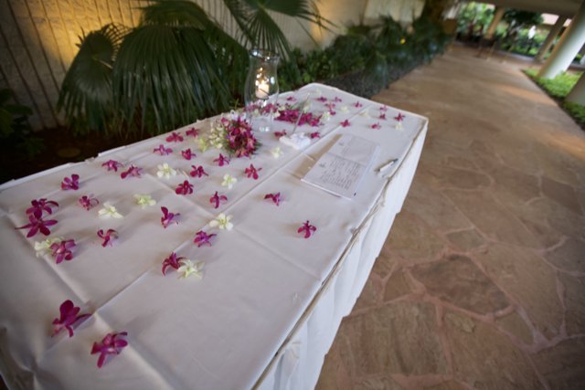 A Serene Sight: Pink Orchids on a White Tablecloth