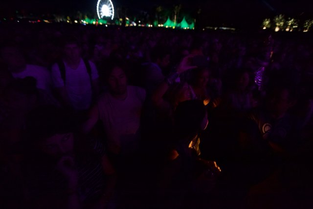 Urban Nightlife: A Crowd at Coachella Concert
