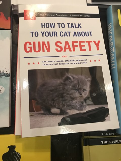 Gun Safety Publication Displayed in Los Angeles Shop