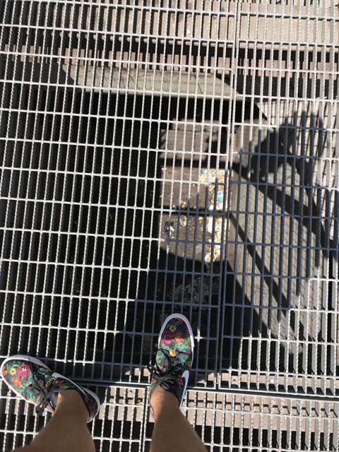 Sneakers and Drains