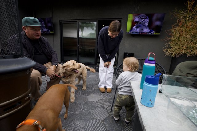 Family Moment with Dogs in Modern Patio Setting