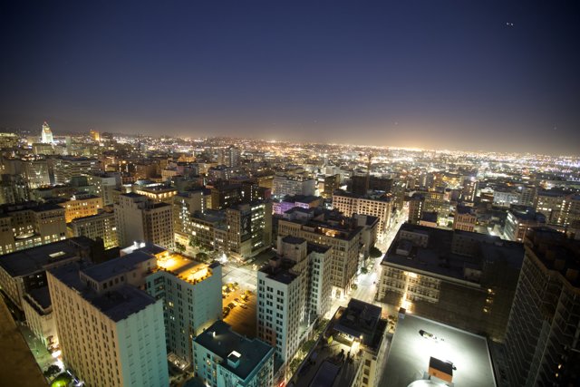 Sky-high view of the urban metropolis at night