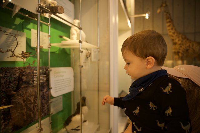 Curiosity Unleashed at the Museum
