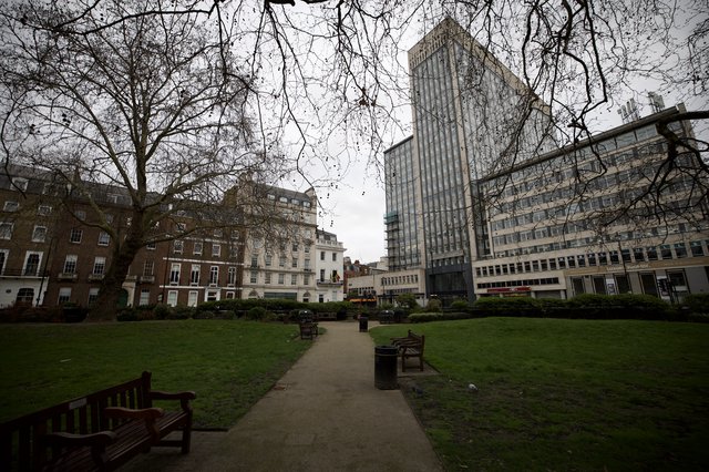 Bare Winter Trees Frame London Square on Overcast Day
